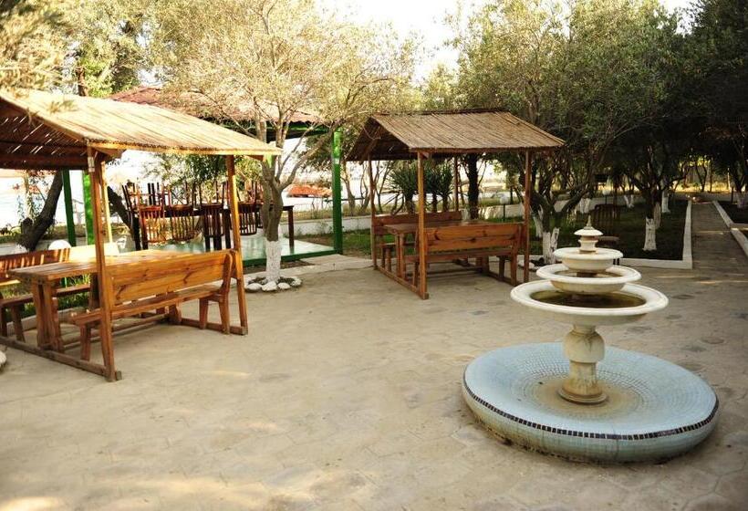 Fotos del hotel Mavi Dalga:  9