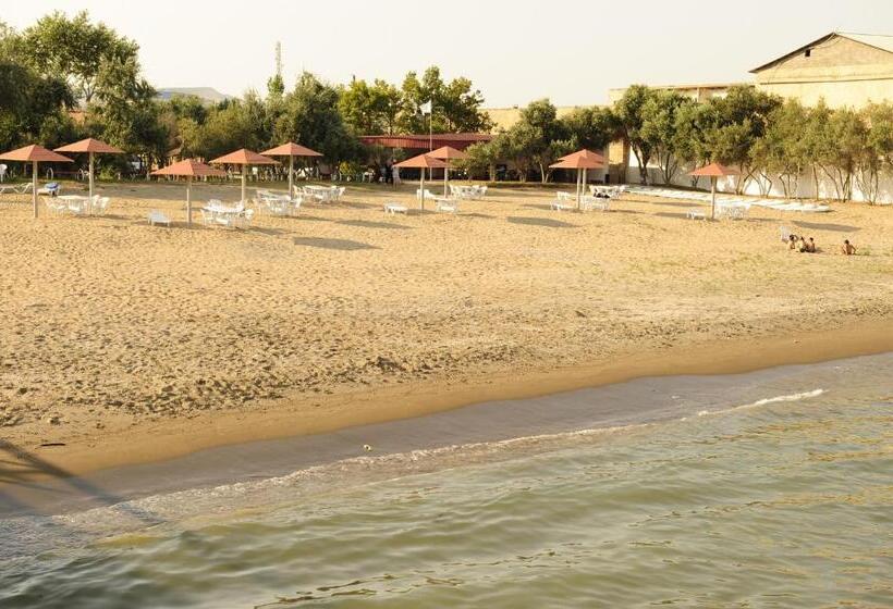 Fotos del hotel Mavi Dalga:  8