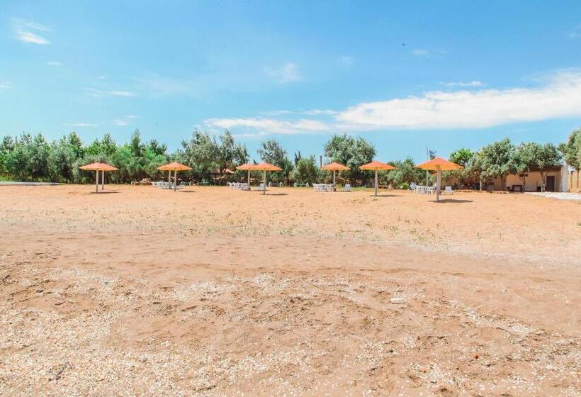 Fotos del hotel Mavi Dalga:  25