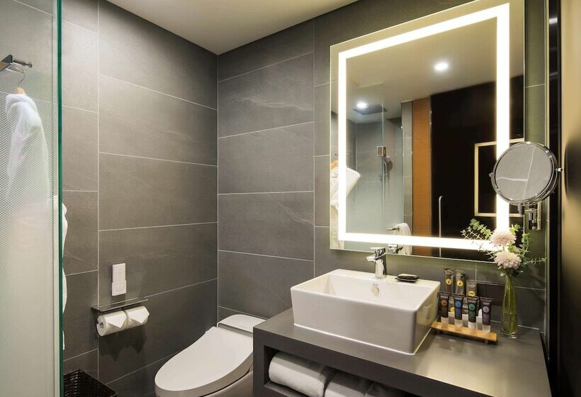 Fotos del hotel Novotel Ambassador Seoul Dongdaemun S & Residences:  11