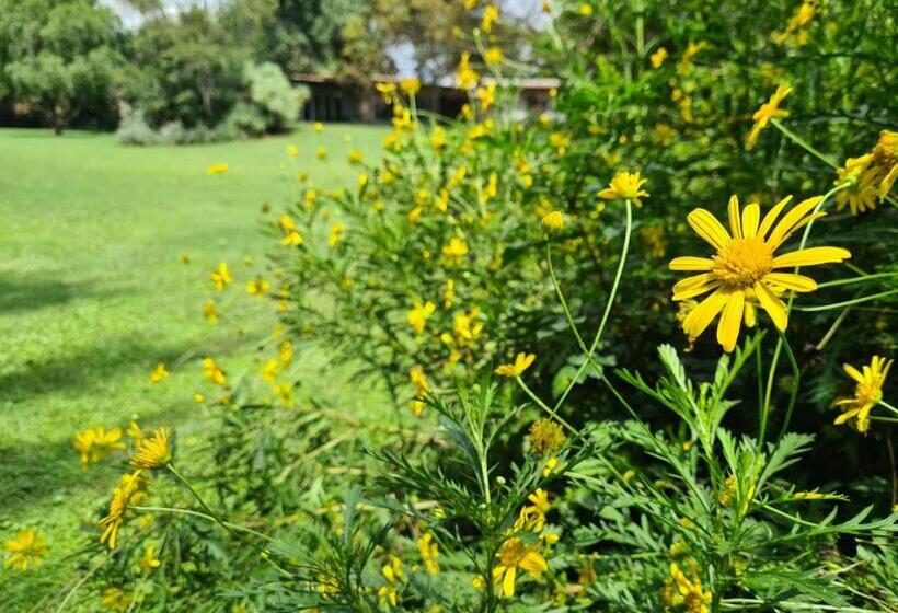 Fotos del hotel Amberhall Guesthouse:  13