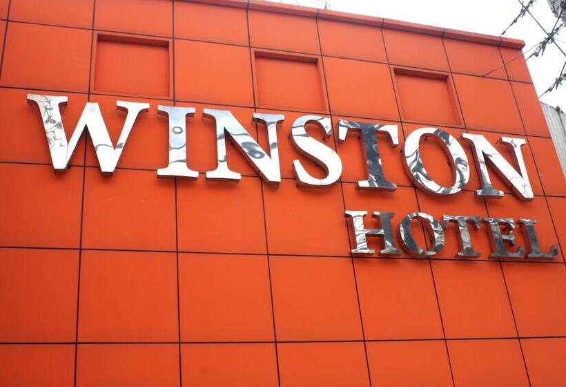 Fotos del hotel New Winston:  6
