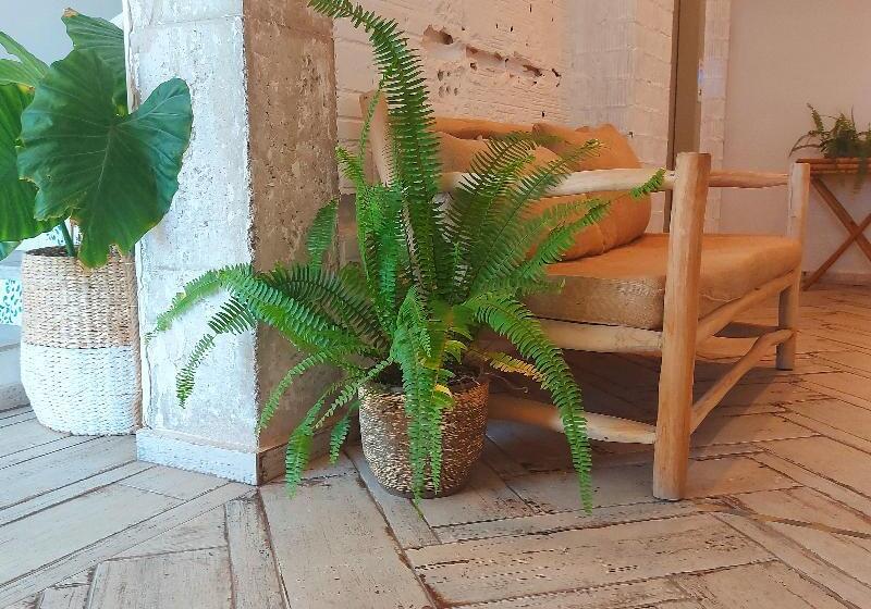 Fotos del hotel Duna Hotel Boutique:  6