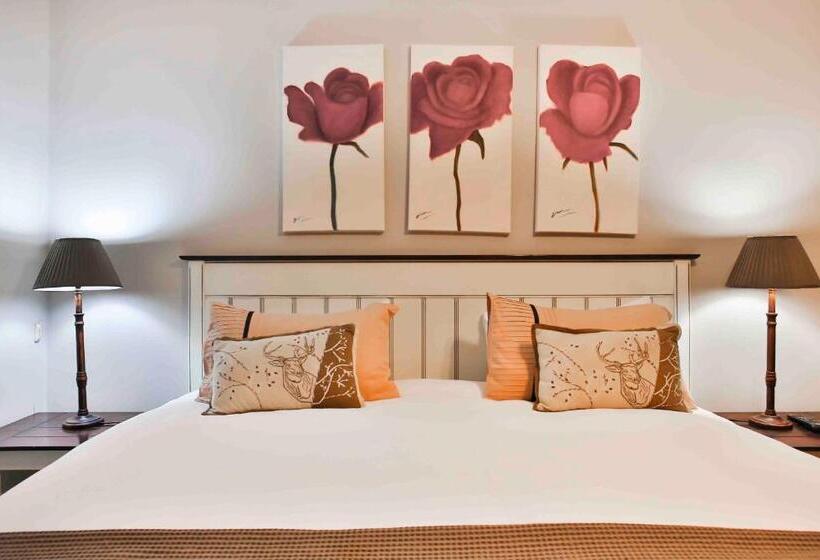 Fotos del hotel Accommodation @ Van's:  20