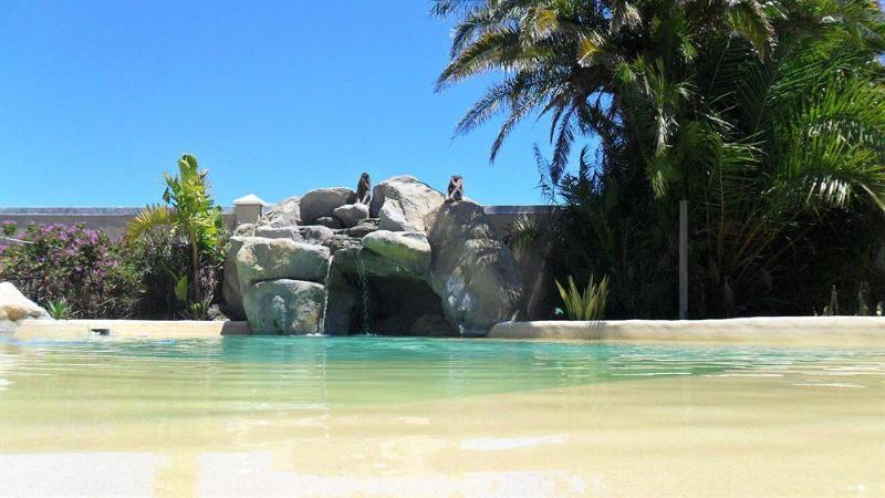 Fotos del hotel Afro Chic Guest House:  2