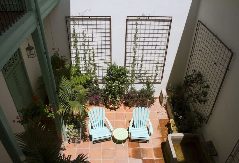 Fotos del hotel Casa De La Vega:  8