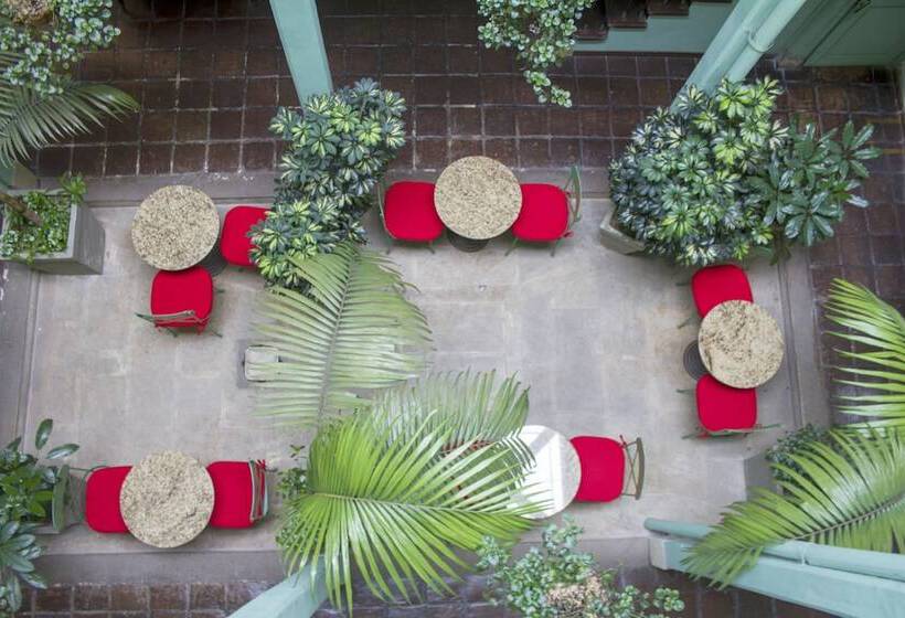 Fotos del hotel Casa De La Vega:  17