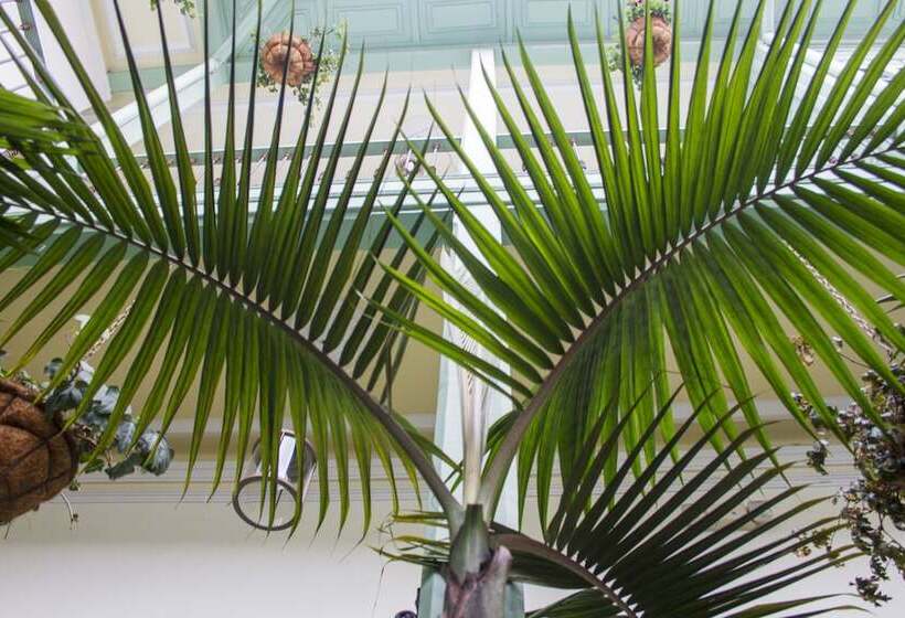 Fotos del hotel Casa De La Vega:  9