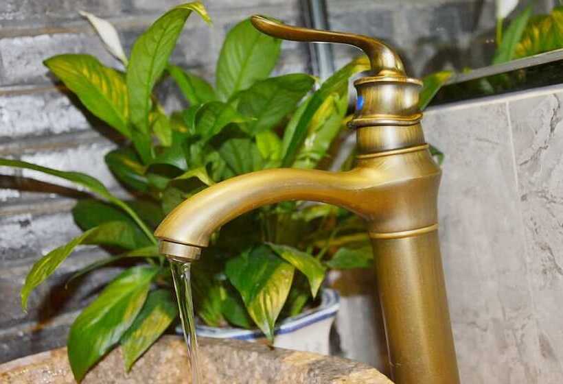 Fotos del hotel Qingju Chengdu Sports Center Branch:  5