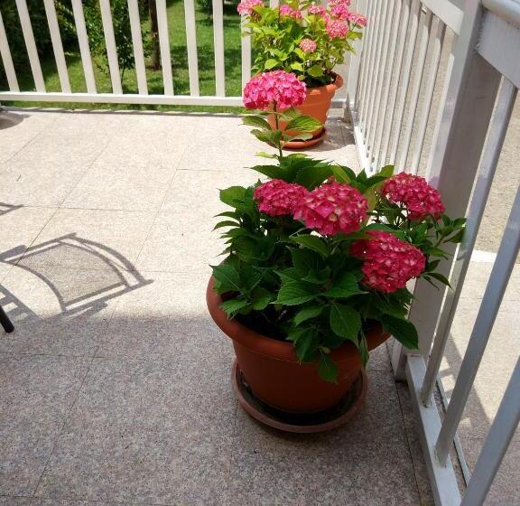 Fotos del hotel Guest House Regina Mundi:  4