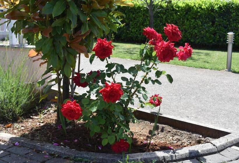 Fotos del hotel Guest House Regina Mundi:  6