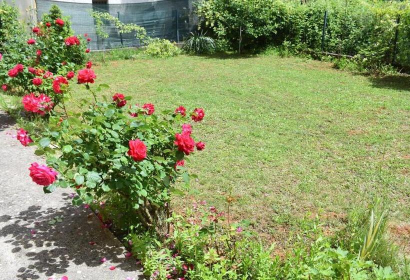 Fotos del hotel Guest House Regina Mundi:  20