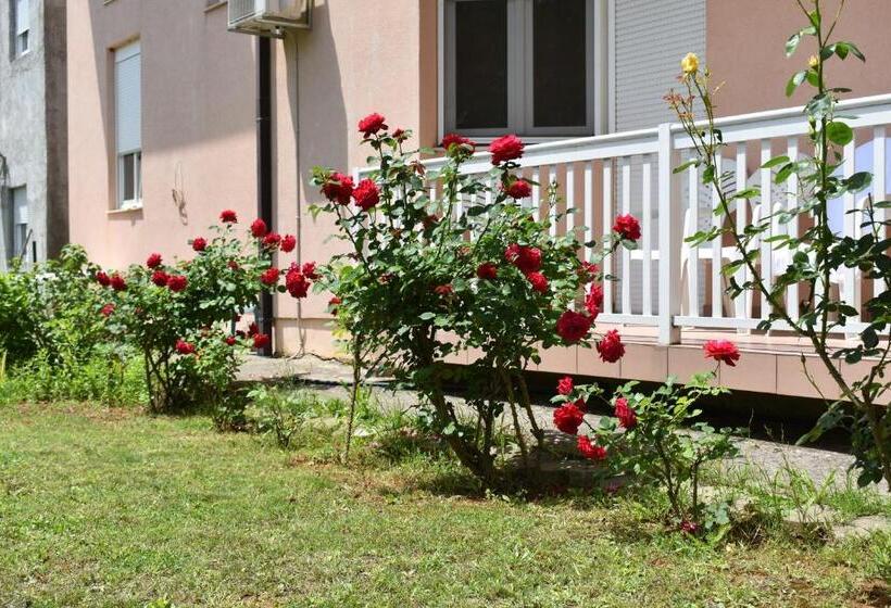 Fotos del hotel Guest House Regina Mundi:  17