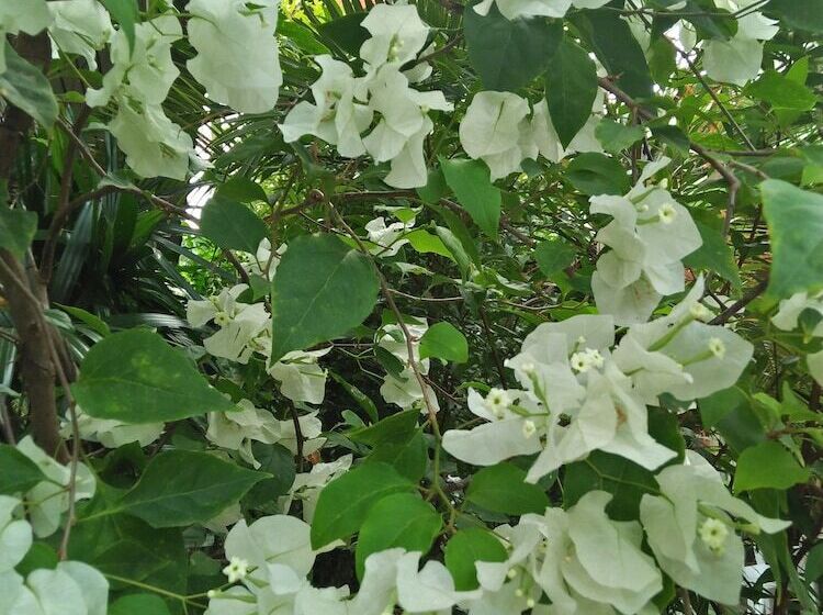 Fotos del hotel Khaolak Tusneem Resort:  17