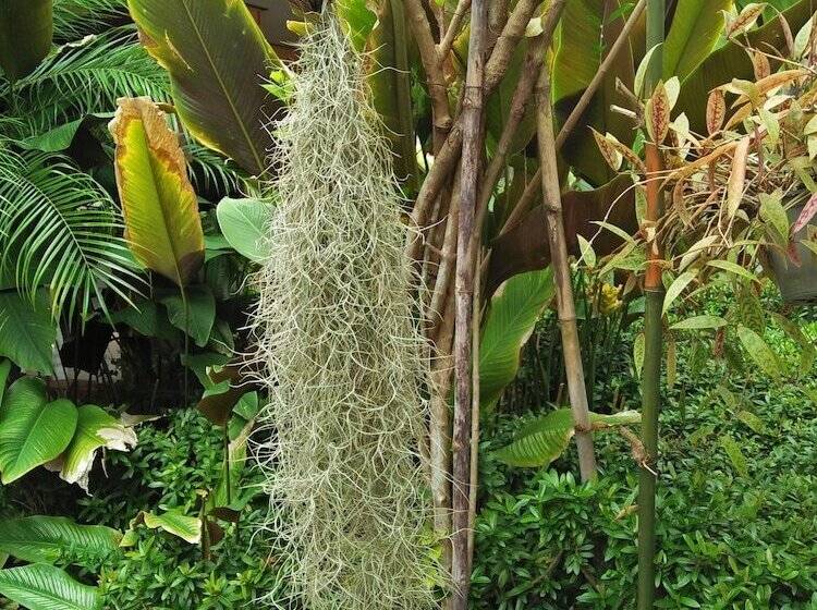 Fotos del hotel Khaolak Tusneem Resort:  10