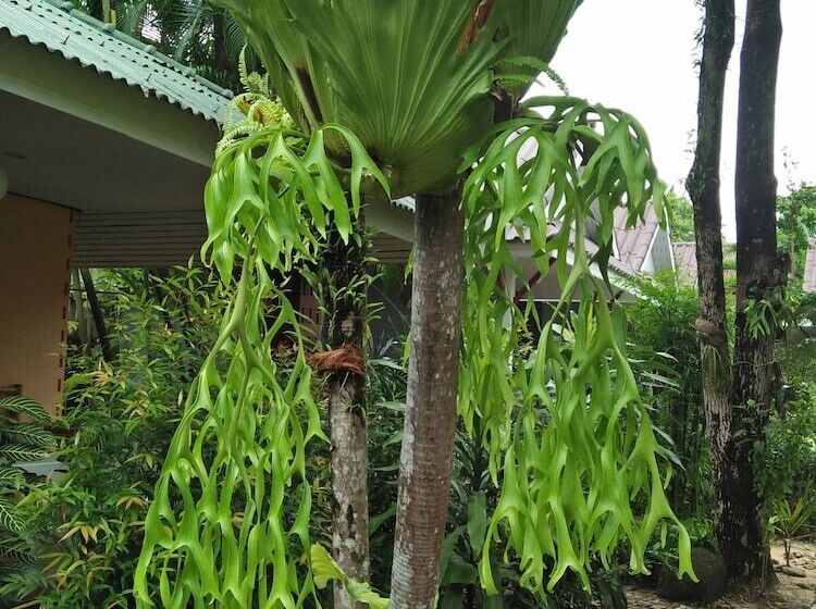 Fotos del hotel Khaolak Tusneem Resort:  19