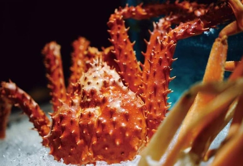 Fotos del hotel Landison Plaza  Ningbo:  5