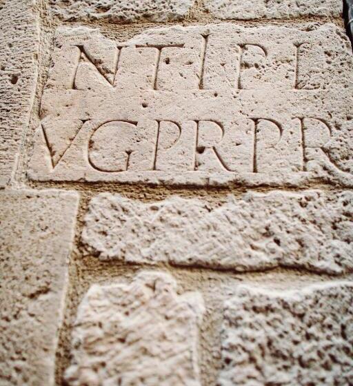 Fotos del hotel Villa Nepos:  12