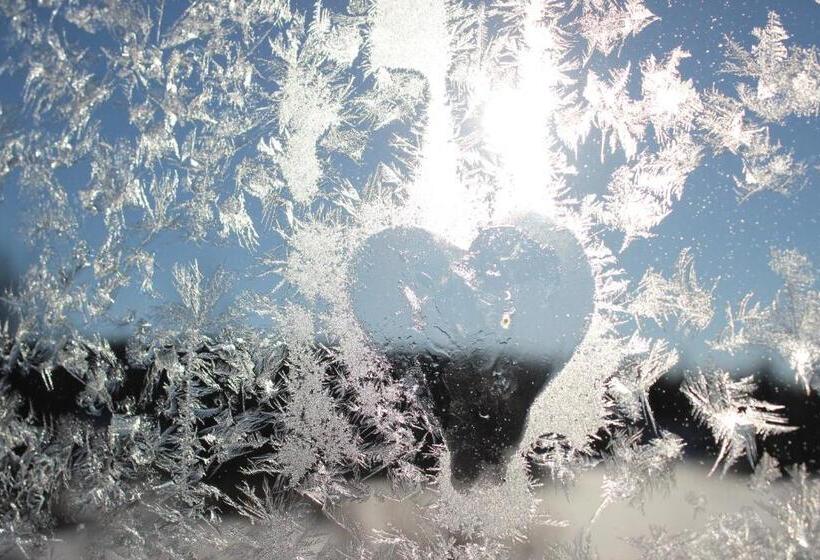 Fotos del hotel Guesthouse Arctic Heart:  9