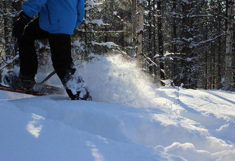 Fotos del hotel Guesthouse Arctic Heart:  14