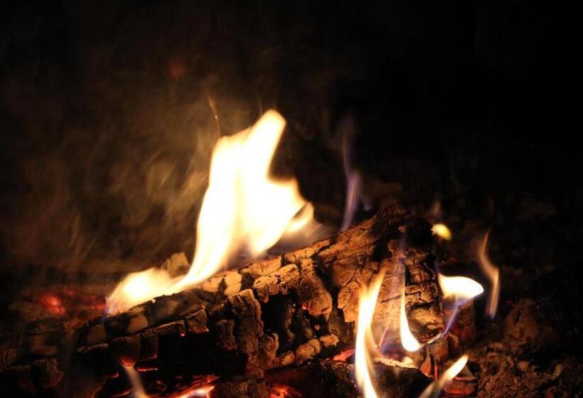 Fotos del hotel Guesthouse Arctic Heart:  19