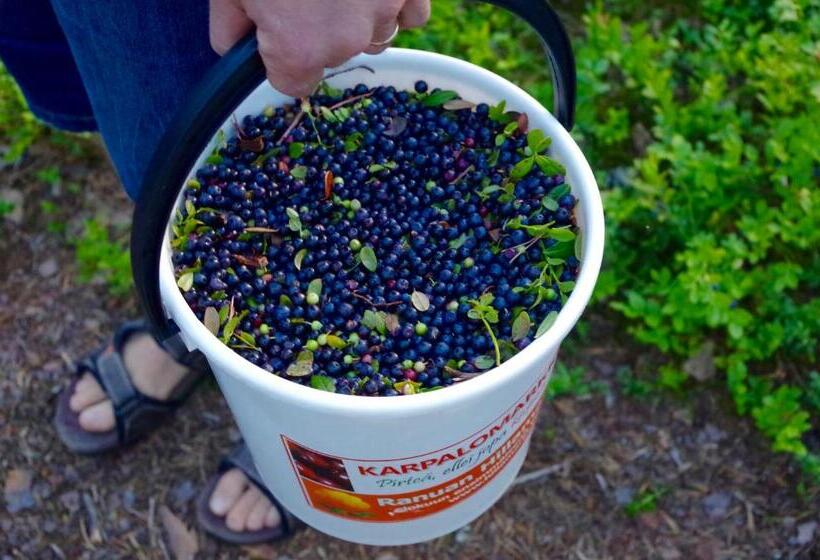 Fotos del hotel Guesthouse Arctic Heart:  21