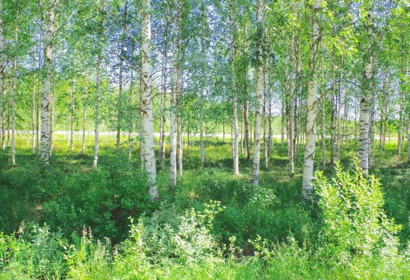 Fotos del hotel Guesthouse Arctic Heart:  24