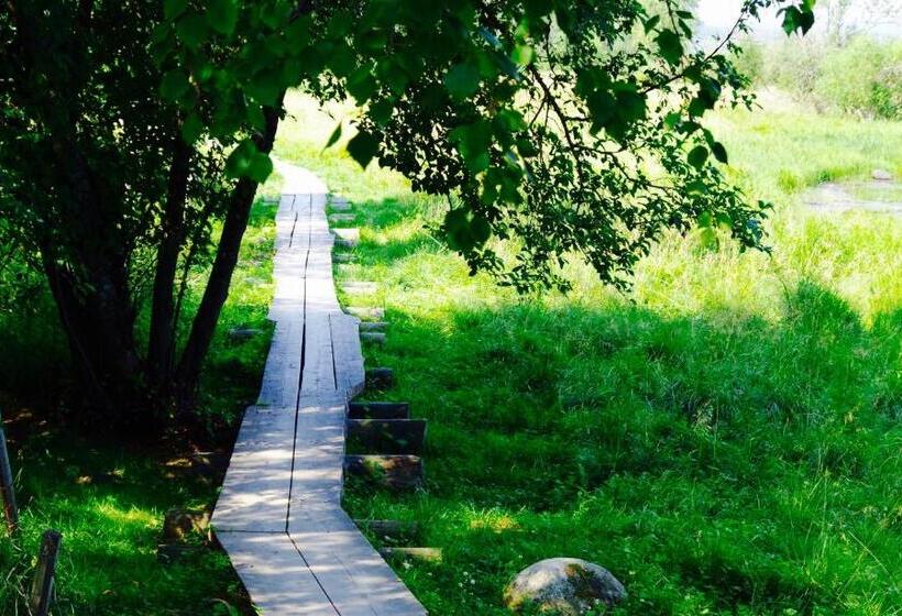 Fotos del hotel Guesthouse Arctic Heart:  25