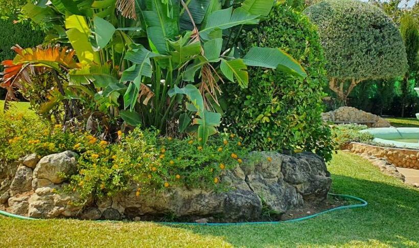 Fotos del hotel La Posada Del Duende:  3