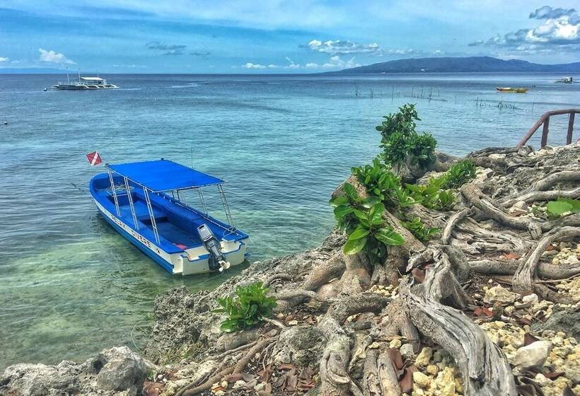 Fotos del hotel Relax Divers Bohol:  14