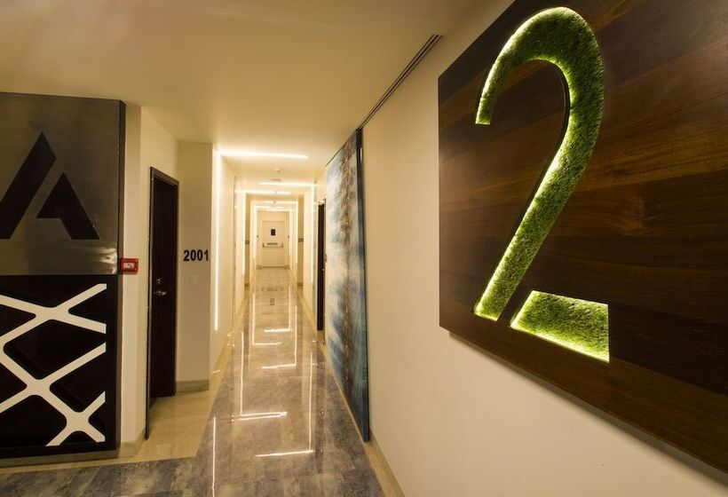 Fotos del hotel Art Boutique:  14