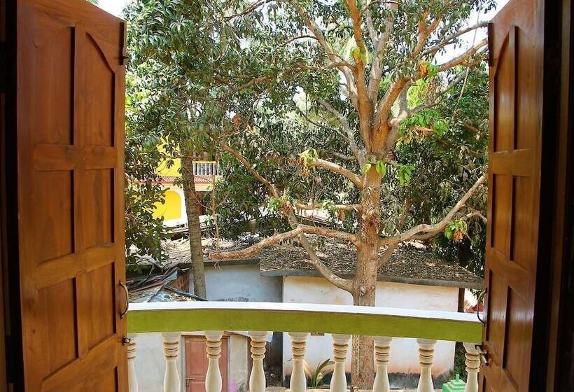 Fotos del hotel Fig Fin Beach Resort:  7