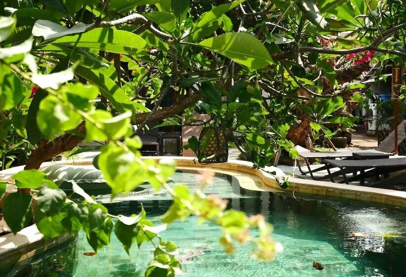 Fotos del hotel Kalua Boutique Bungalows:  6