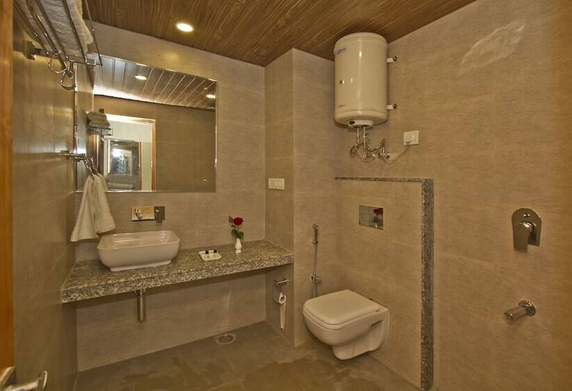 Fotos del hotel Sarthak Regency:  18