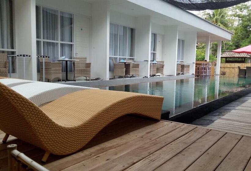 Fotos del hotel Villa Phyphy 2:  17