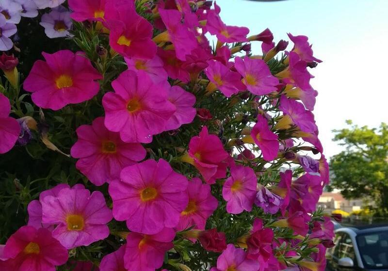 Fotos del hotel B&b Via Delle 5 Terre:  10