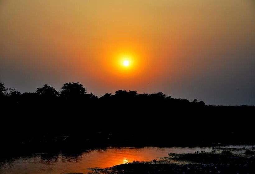 Fotos del hotel Chitwan Paradise:  5