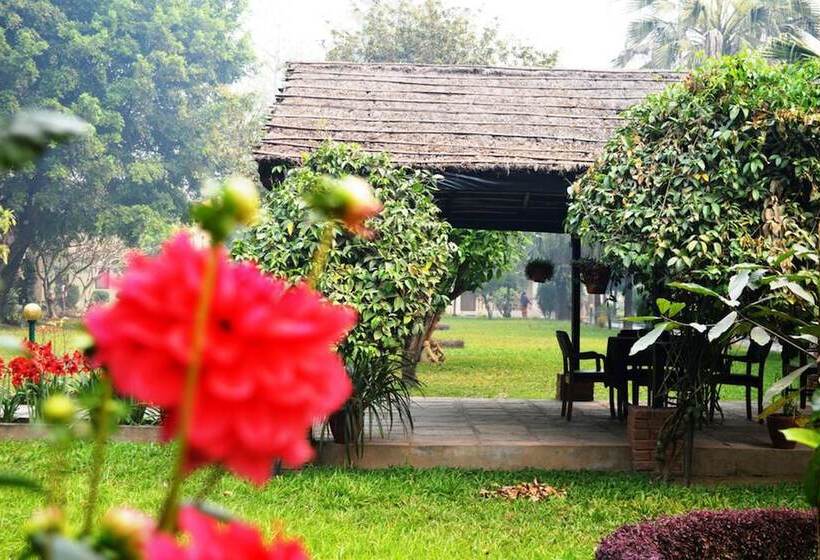 Fotos del hotel Chitwan Paradise:  3