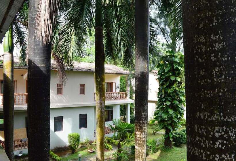 Fotos del hotel Chitwan Paradise:  17