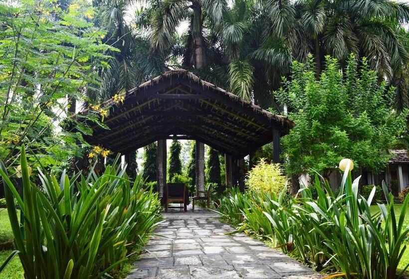 Fotos del hotel Chitwan Paradise:  4