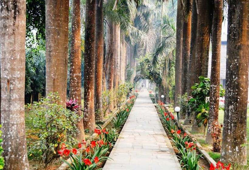 Fotos del hotel Chitwan Paradise:  8