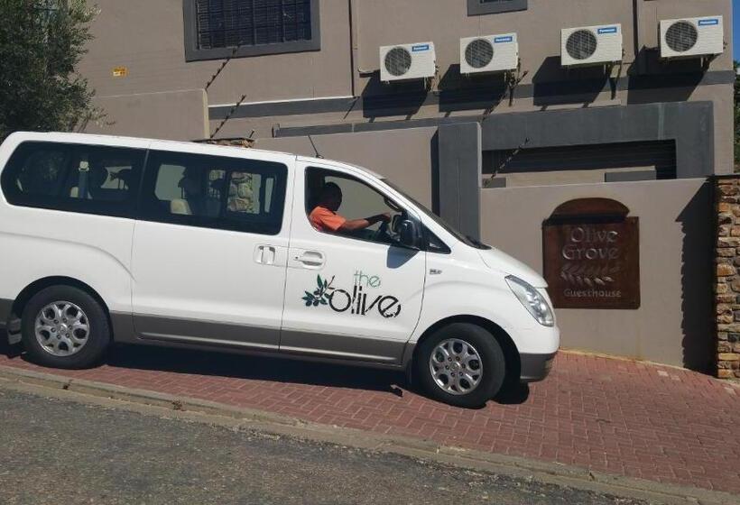 Fotos del hotel Olive Grove Guesthouse:  7