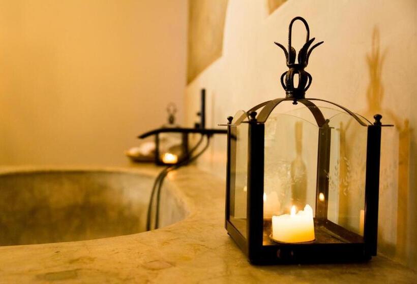 Fotos del hotel Olive Grove Guesthouse:  20