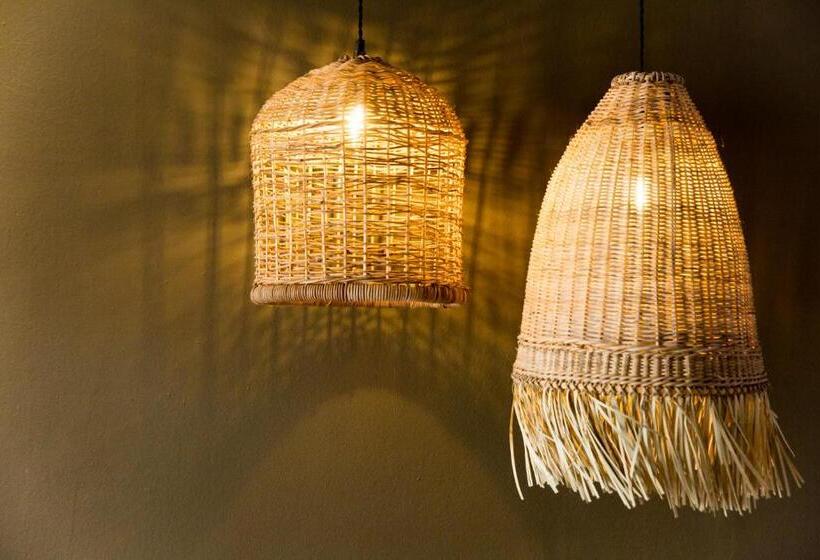 Fotos del hotel Olive Grove Guesthouse:  13