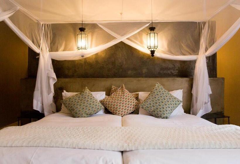 Fotos del hotel Olive Grove Guesthouse:  22