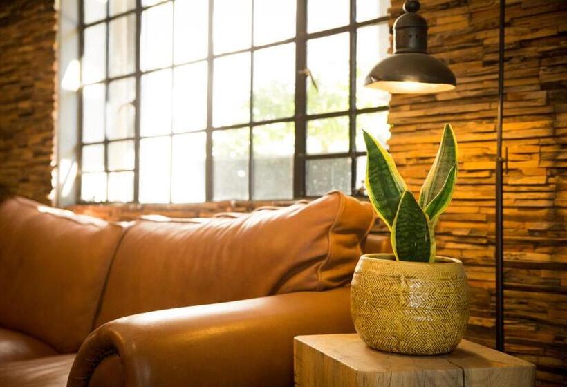 Fotos del hotel Olive Grove Guesthouse:  19