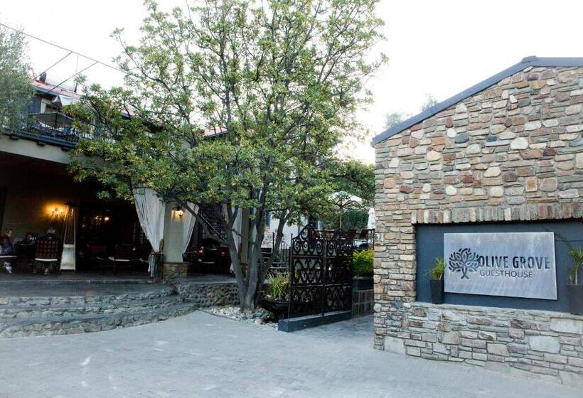 Fotos del hotel Olive Grove Guesthouse:  21