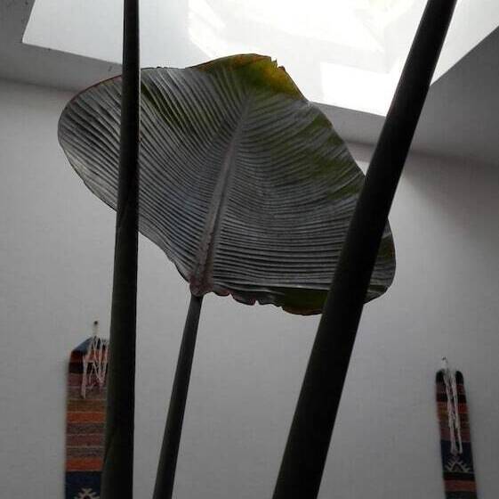 Fotos del hotel Ryad Les Sultanes:  3