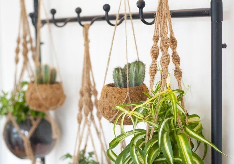 Fotos del hotel I Hotel:  4