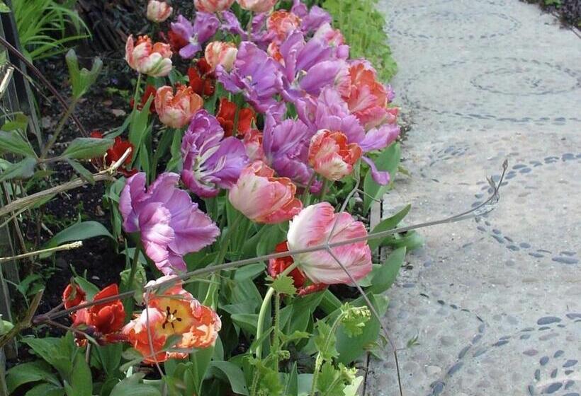 Fotos del hotel Chequer Cottage:  10